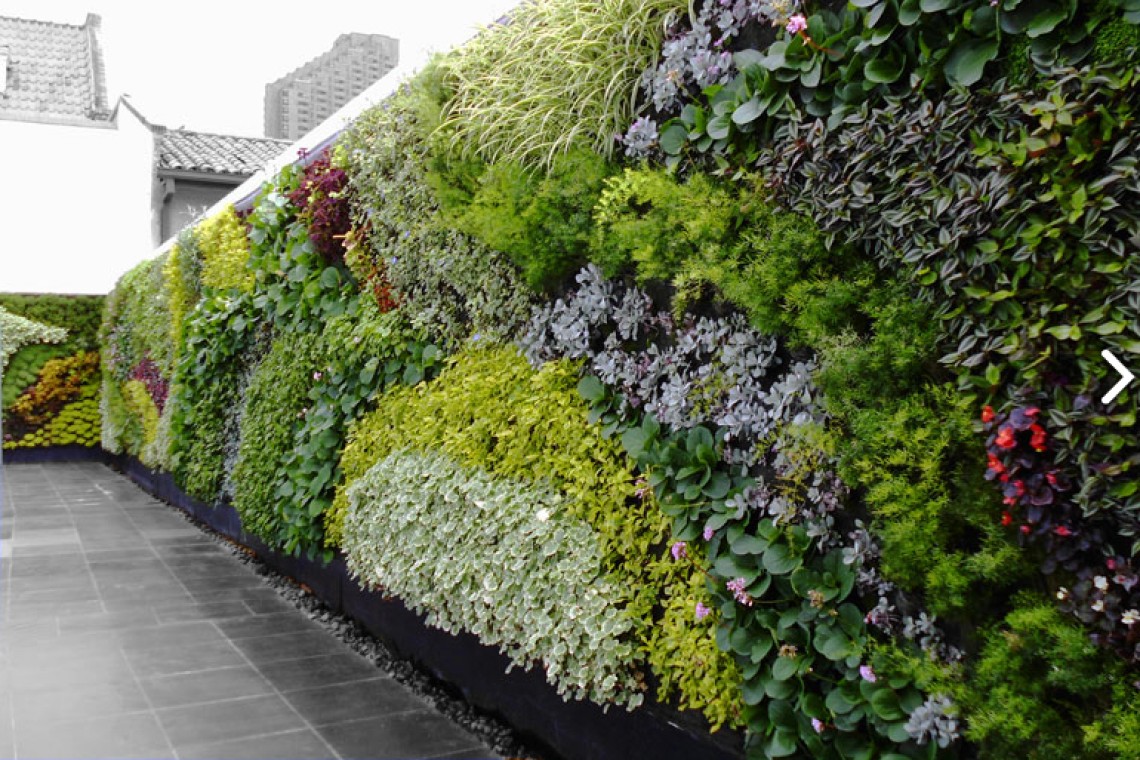 jardines-verticales